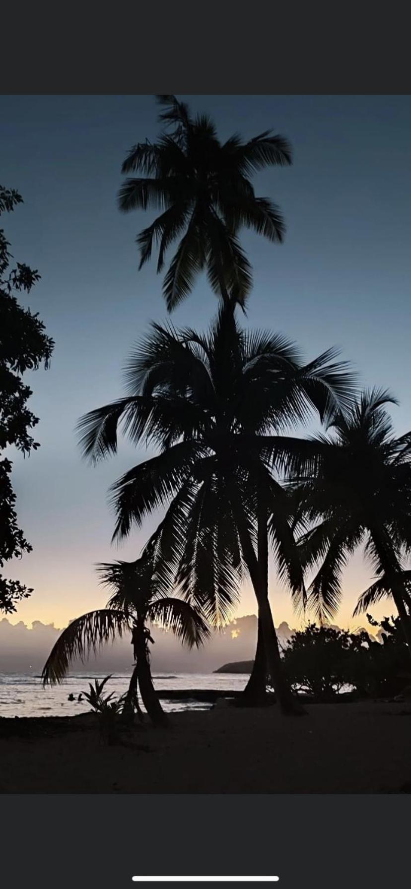 Ferienwohnung Au Petit Noni Le Gosier  Exterior foto